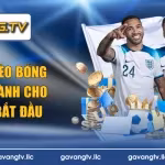 cách đọc kèo bóng đá chuẩn