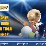 Tiểu Sử Karim Benzema