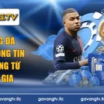 tip bóng đá